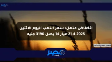 انخفاض مذهل: سعر الذهب اليوم الاثنين 21-4-2025 عيار 14 يصل 3190 جنيه